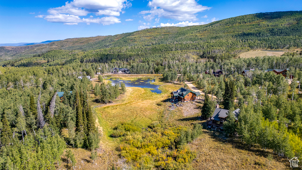 Bird\\\'s eye view of a heavily wooded area and a mountain backdrop