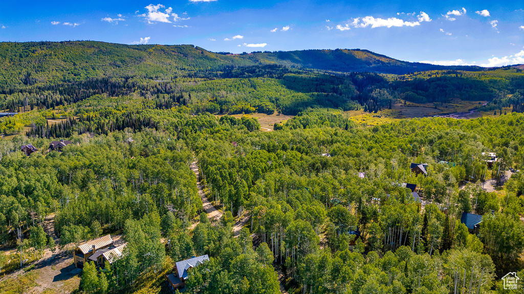 Bird\\\'s eye view of a mountainous background and a heavily wooded area