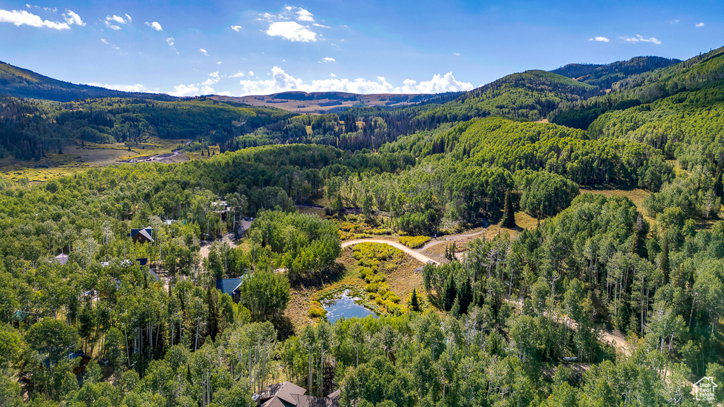 Bird\\\'s eye view of a forest and a water and mountain view