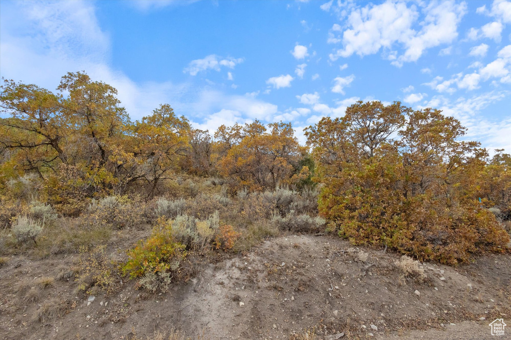 2381  WESTVIEW DR Heber City, UT 84032