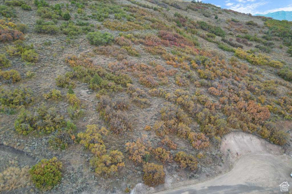 2381  WESTVIEW DR Heber City, UT 84032