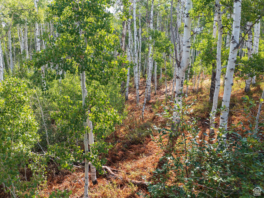 2919  GREEN BRIAR WAY Heber City, UT 84032