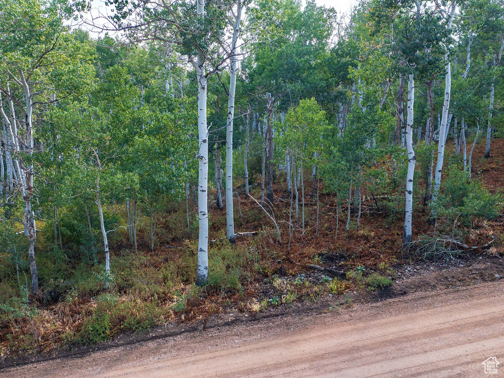 2919  GREEN BRIAR WAY Heber City, UT 84032