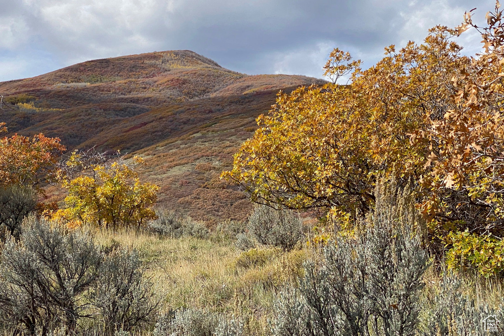  Midway, UT 84049