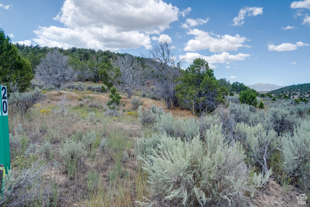  Indianola, UT 84629