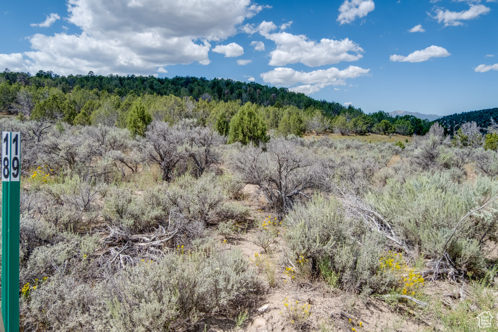 Indianola, UT 84629