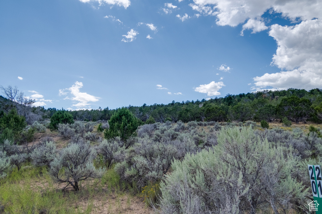  Indianola, UT 84629