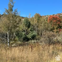 833 S EUTAW RD #46 Garden City, UT 84028