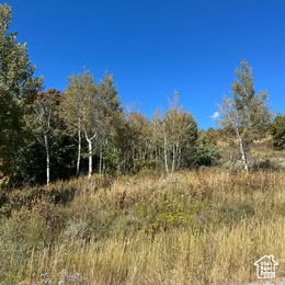 833 S EUTAW RD #46 Garden City, UT 84028