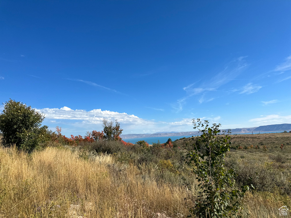 833 S EUTAW RD #46 Garden City, UT 84028