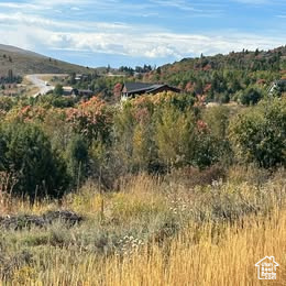 833 S EUTAW RD #46 Garden City, UT 84028