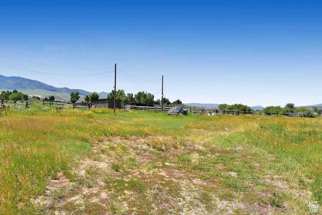 Listing Photo