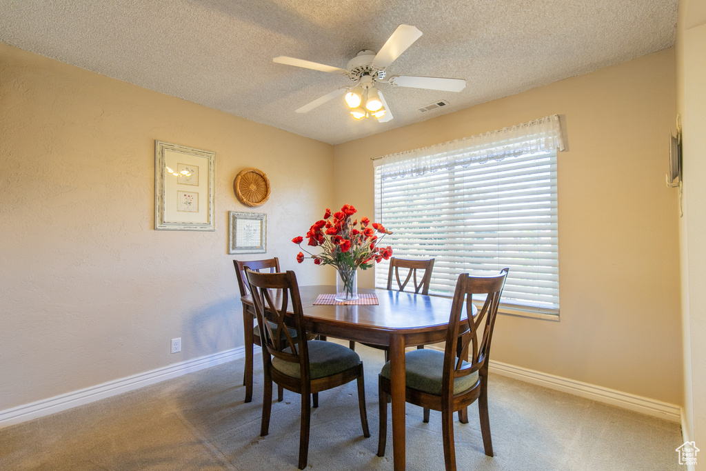 Photo 8 for MLS #2113179 at 1008 S Fountain Dr