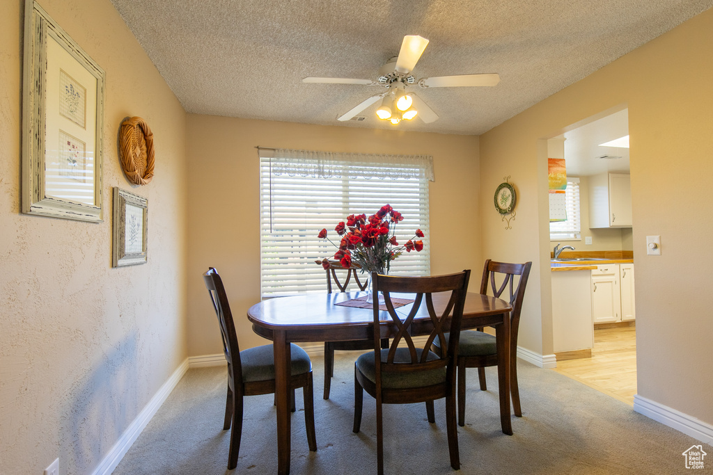 Photo 7 for MLS #2113179 at 1008 S Fountain Dr