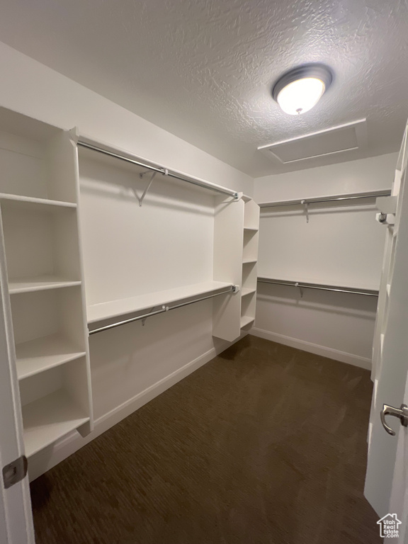 5487 W ORE CART WAY #C Herriman, UT 84096