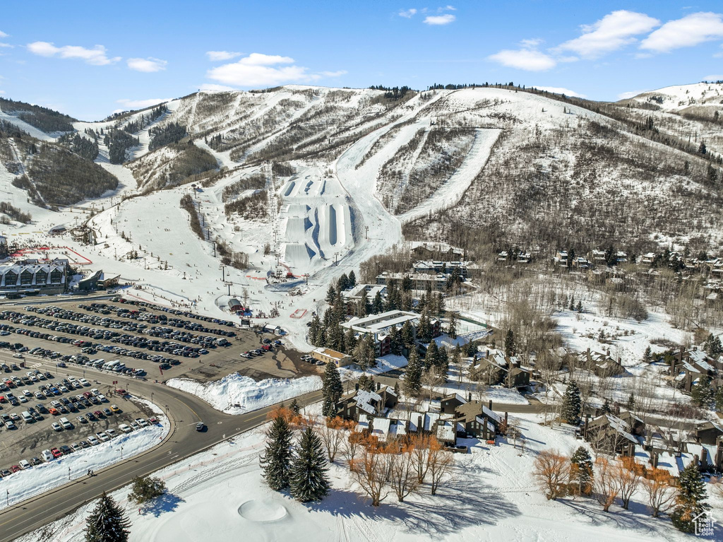 Photo 22 for MLS #2113215 at 401 Silver King Dr #17