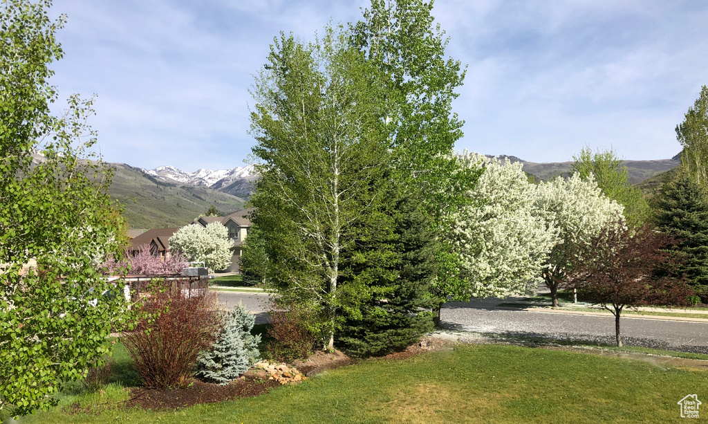 Photo 23 for MLS #2113255 at 363 W 1150 North