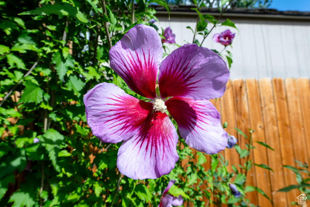 2119 S KING ST Salt Lake City, UT 84109