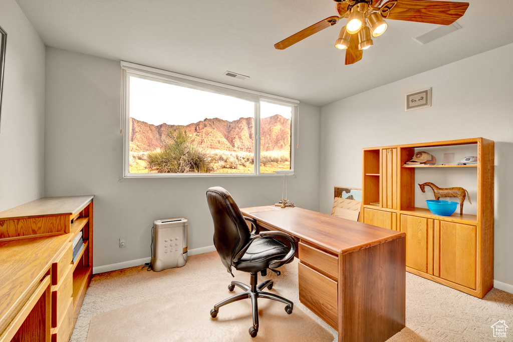 Photo 39 for MLS #2113321 at 1657 N Kayenta Dr