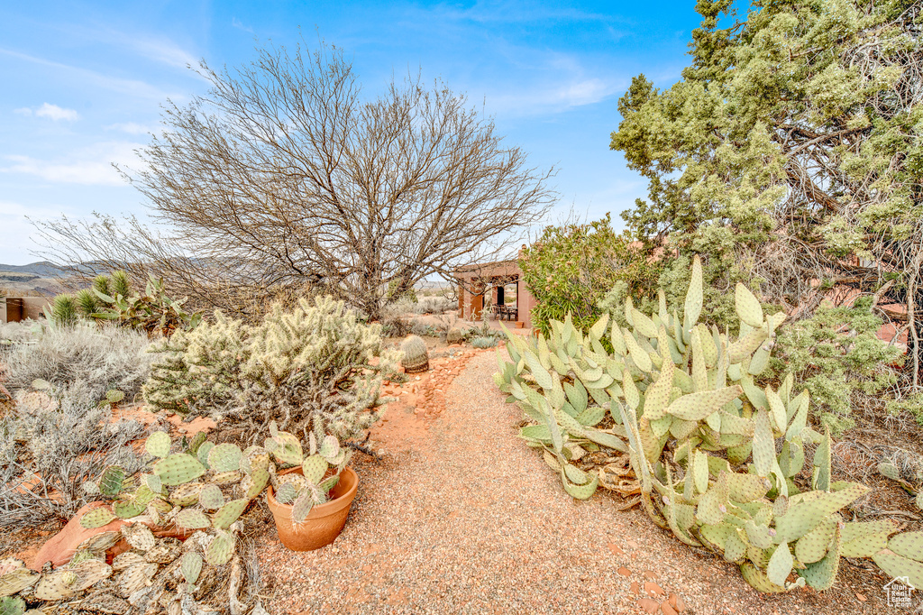 Photo 64 for MLS #2113321 at 1657 N Kayenta Dr