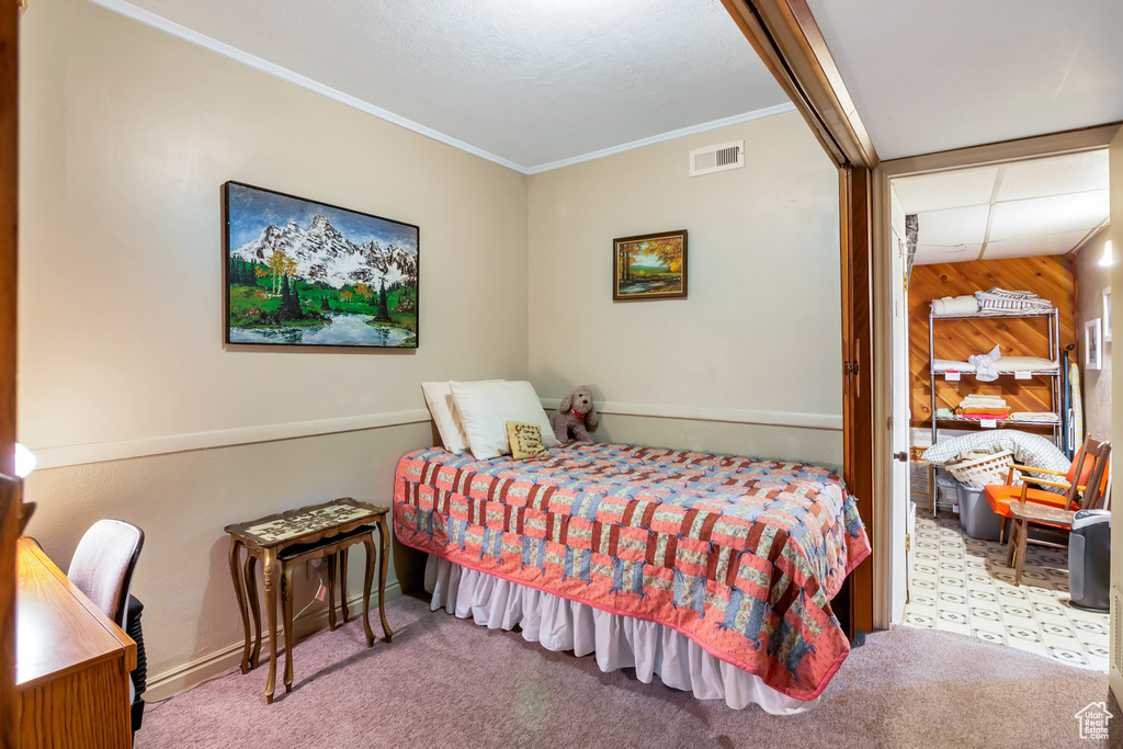 Photo 8 for MLS #2113347 at 2540 W Snake Rd