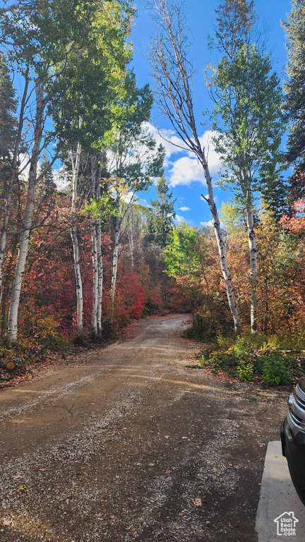 Photo 4 for MLS #2113347 at 2540 W Snake Rd