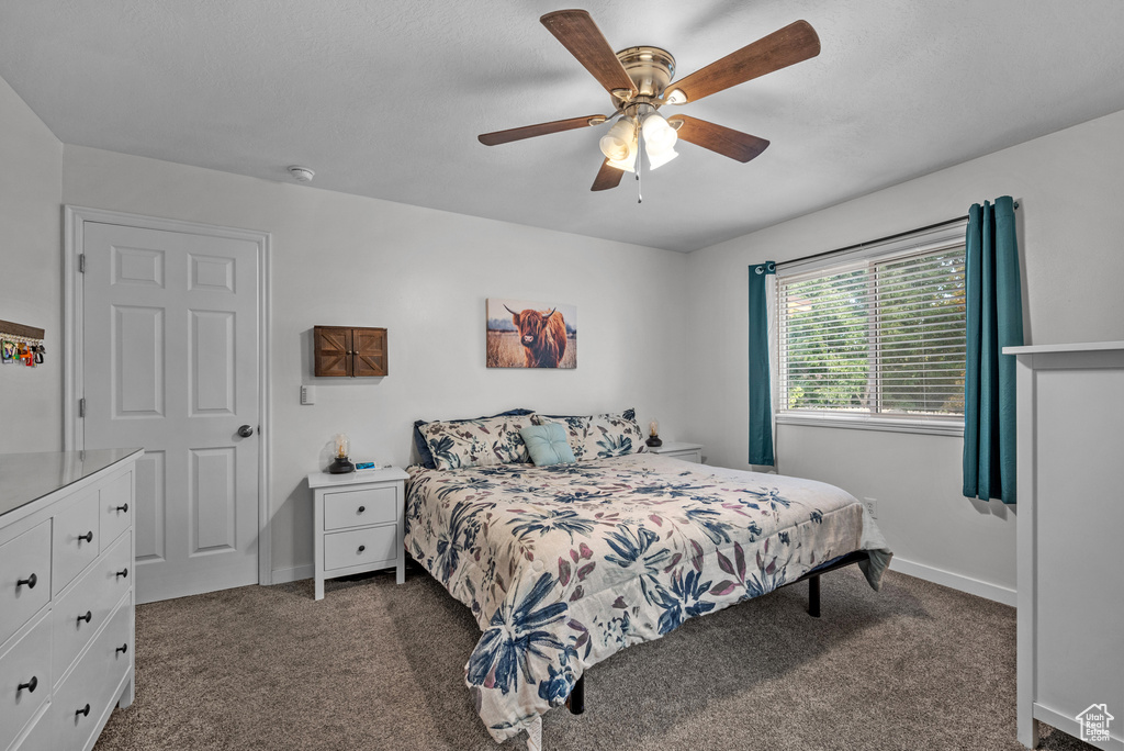 162 W 690 N Santaquin, UT 84655