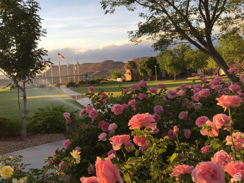 1586 W BONITA BAY CIR St George, UT 84790