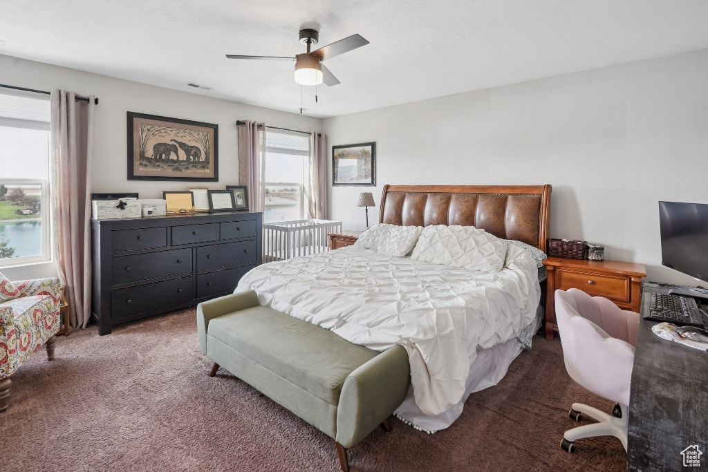 Photo 32 for MLS #2113461 at 1651 W White Pine Dr