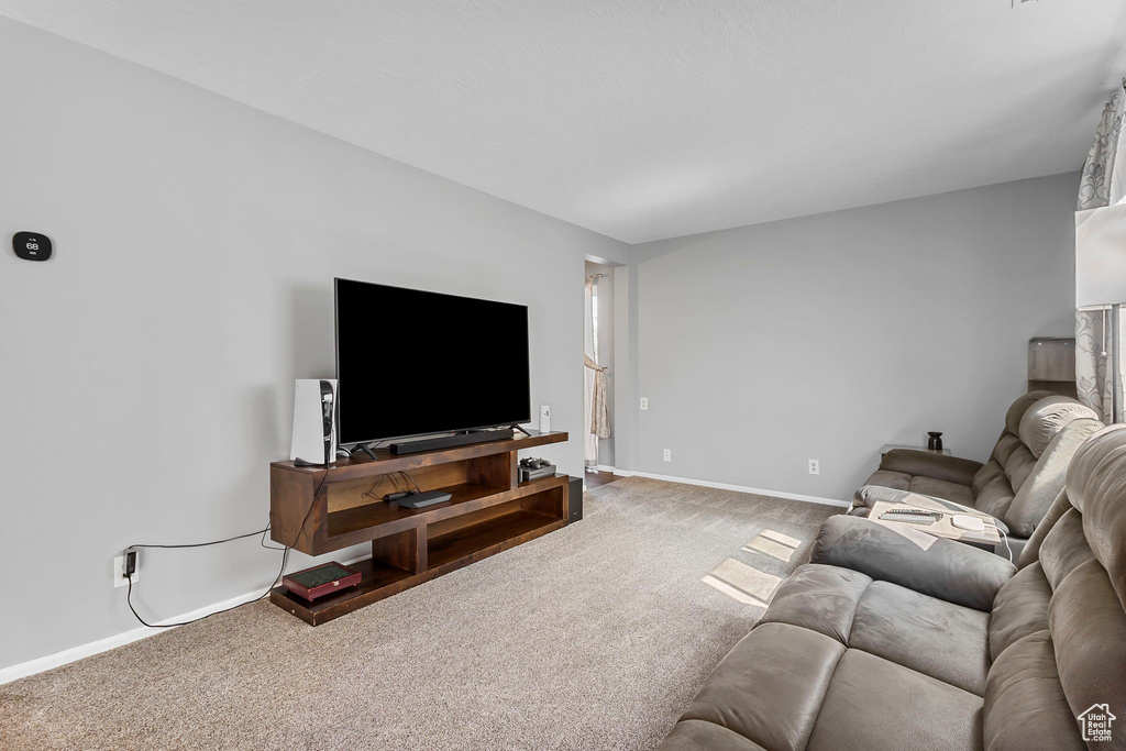 Photo 7 for MLS #2113474 at 7657 So Sunrise Place East