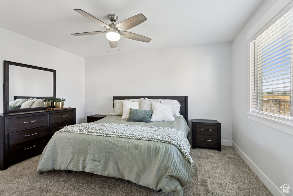 Photo 23 for MLS #2113484 at 541 N Coleman