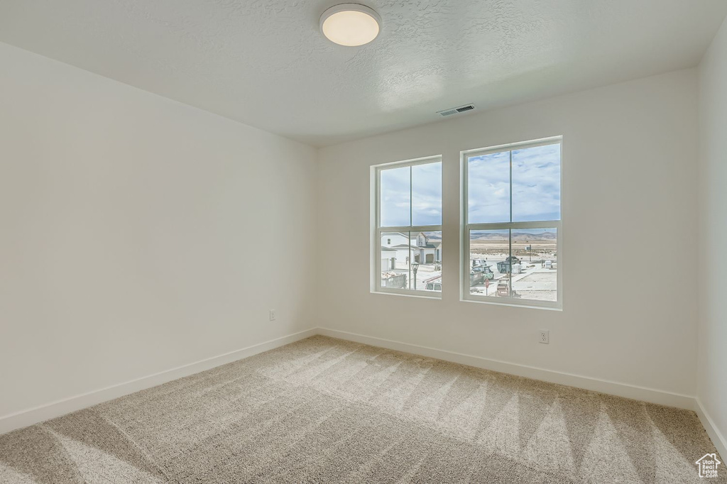 Photo 17 for MLS #2113497 at 180 E Quartz Creek Ln