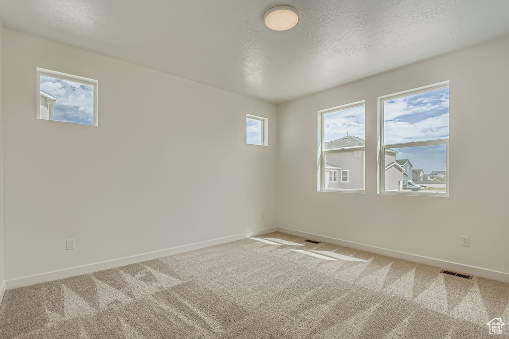 Photo 8 for MLS #2113497 at 180 E Quartz Creek Ln