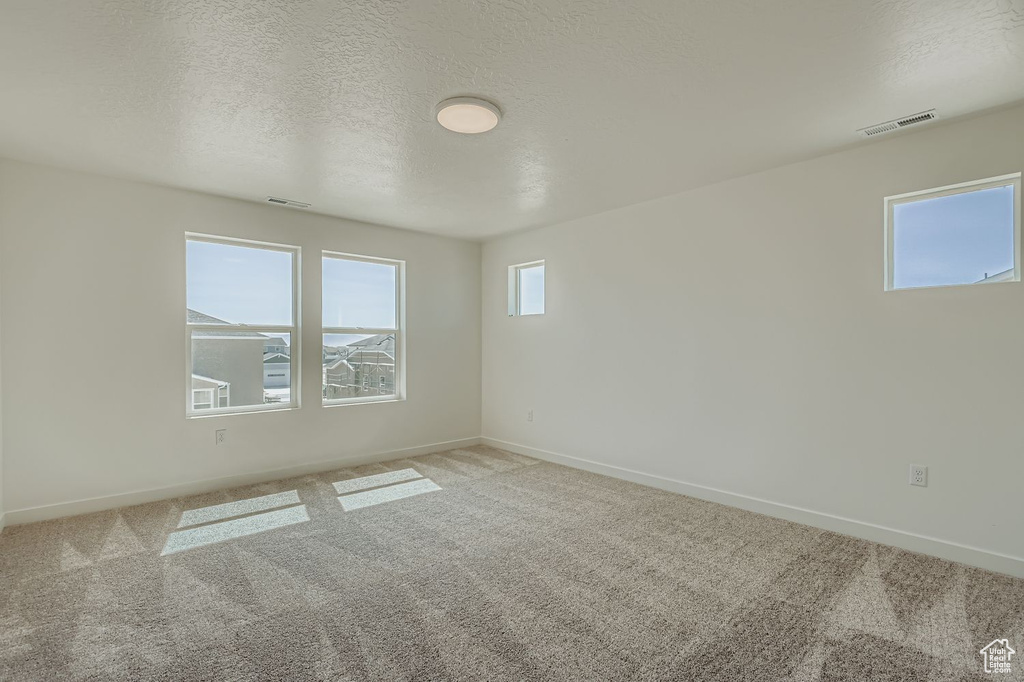 Photo 14 for MLS #2113502 at 196 E Quartz Creek Ln
