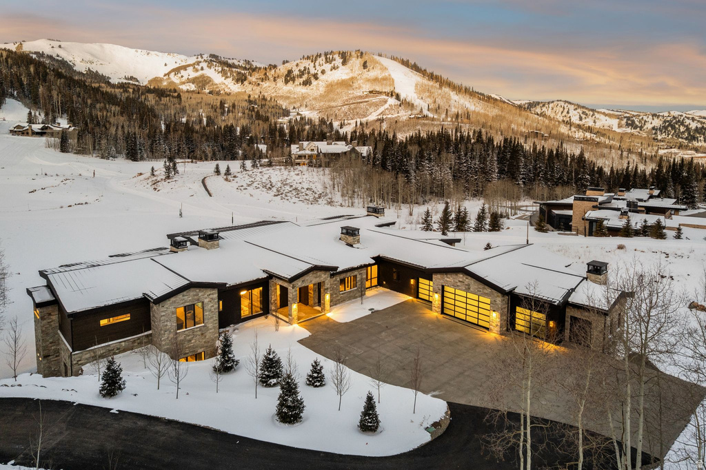 258 WHITE PINE CANYON RD Park City, UT 84060