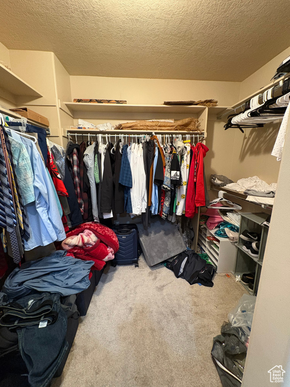 5633 W CORAL MOUNT LN West Valley City, UT 84118