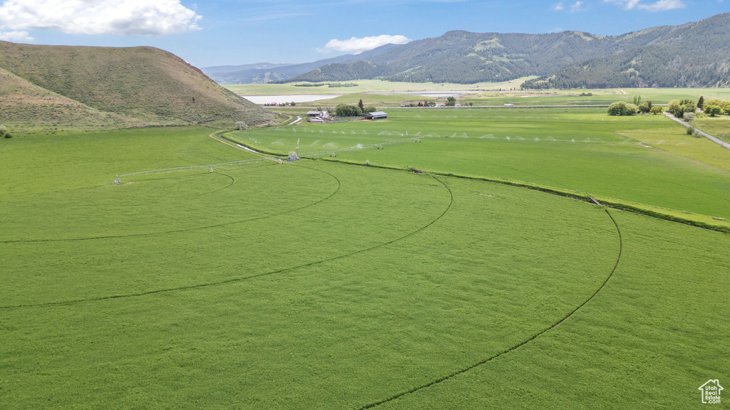 1657  REED LN Soda Springs, ID 83276