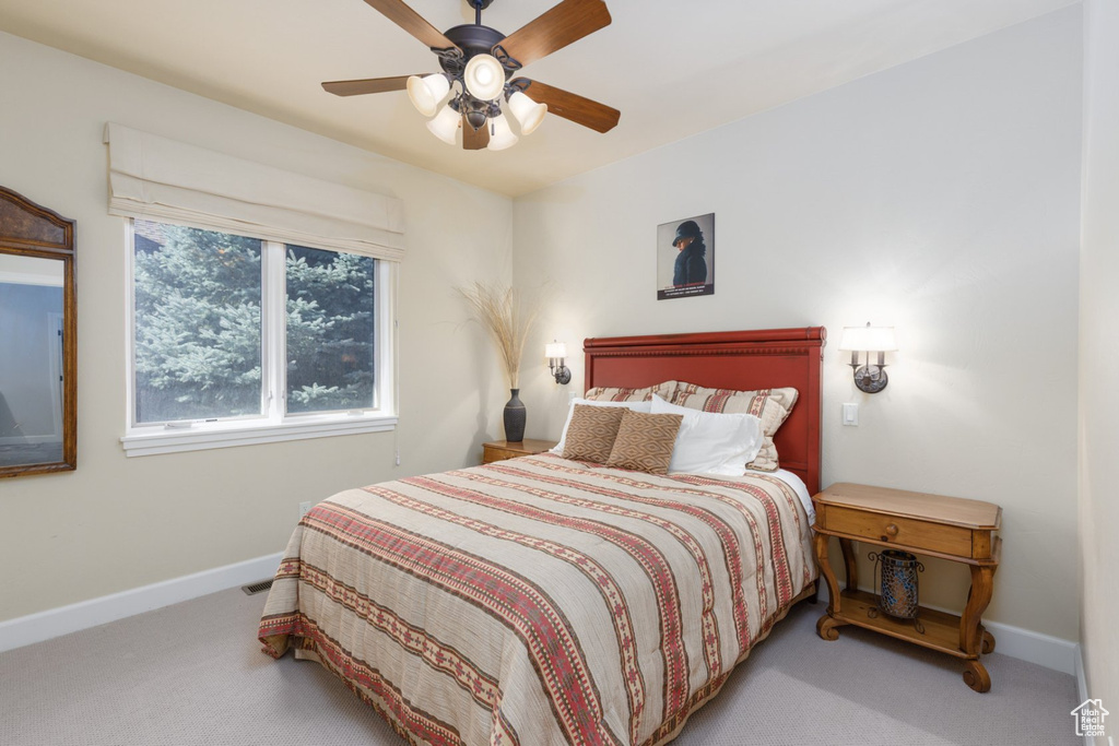 Photo 18 for MLS #2113551 at 3438 N Trappers Ct