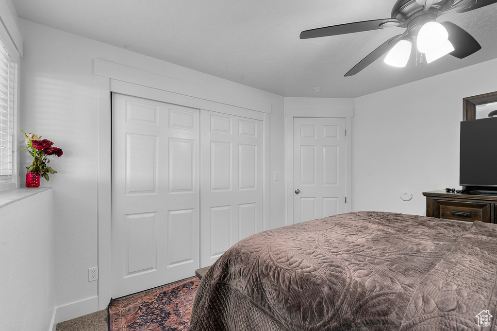 Photo 9 for MLS #2113599 at 2149 S Nevada Ave #A-D