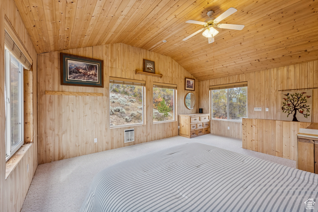 Photo 42 for MLS #2113621 at 6025 Hoback