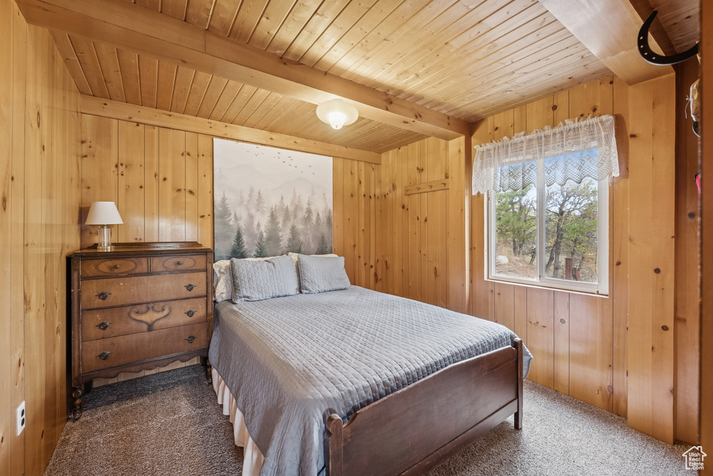 Photo 34 for MLS #2113621 at 6025 Hoback