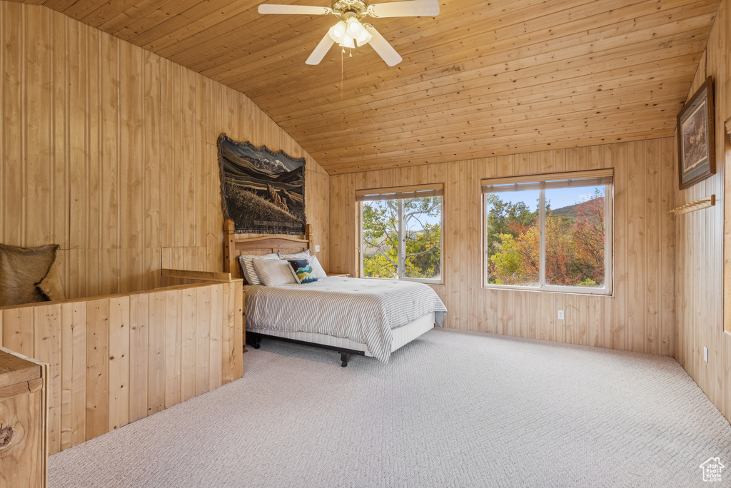 Photo 40 for MLS #2113621 at 6025 Hoback
