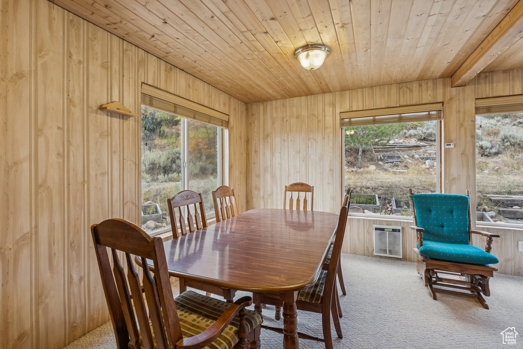 Photo 31 for MLS #2113621 at 6025 Hoback