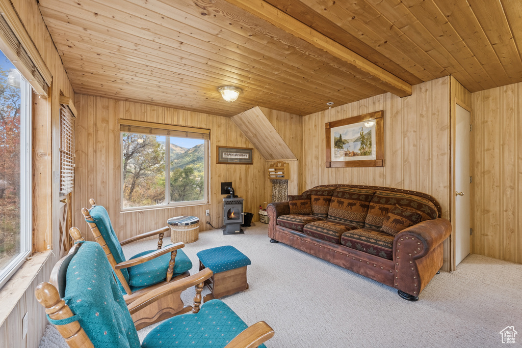 Photo 30 for MLS #2113621 at 6025 Hoback