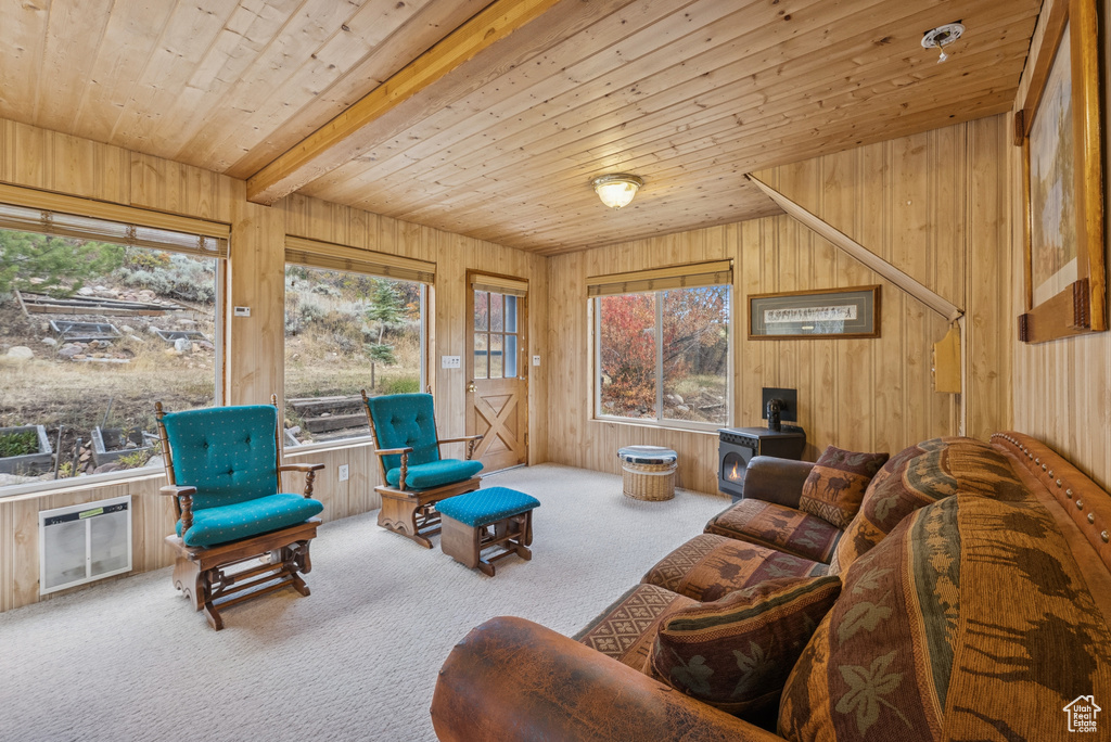 Photo 37 for MLS #2113621 at 6025 Hoback