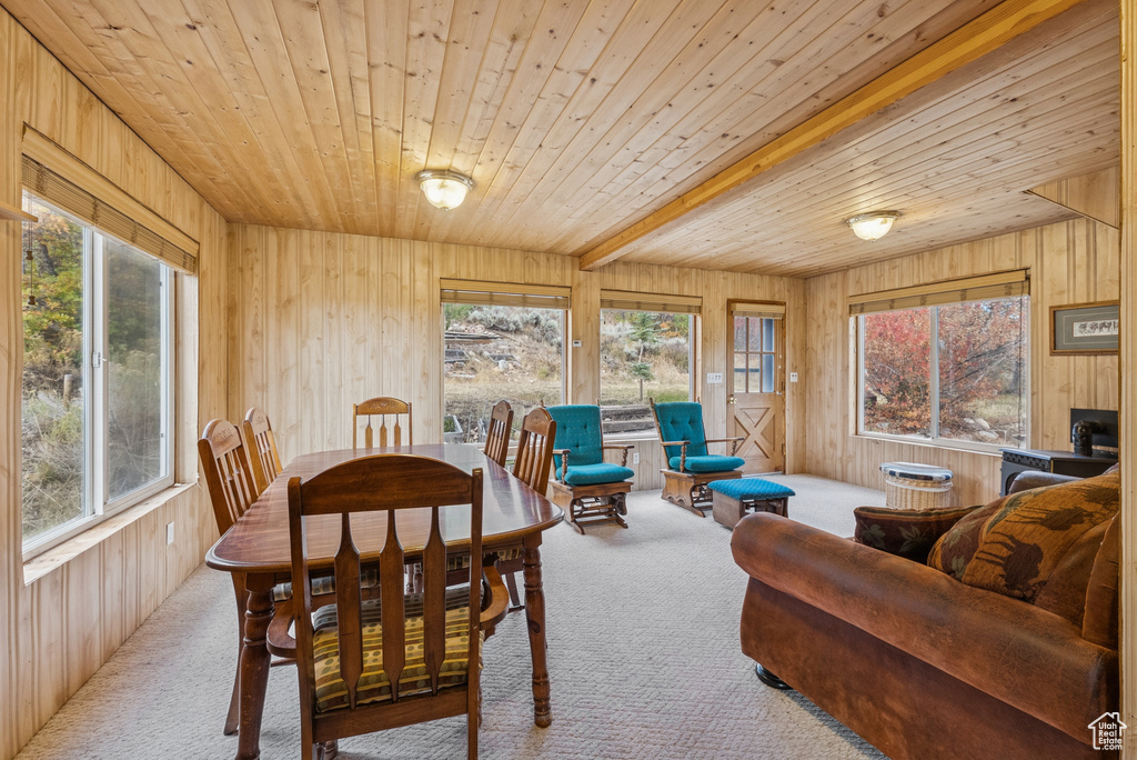 Photo 33 for MLS #2113621 at 6025 Hoback