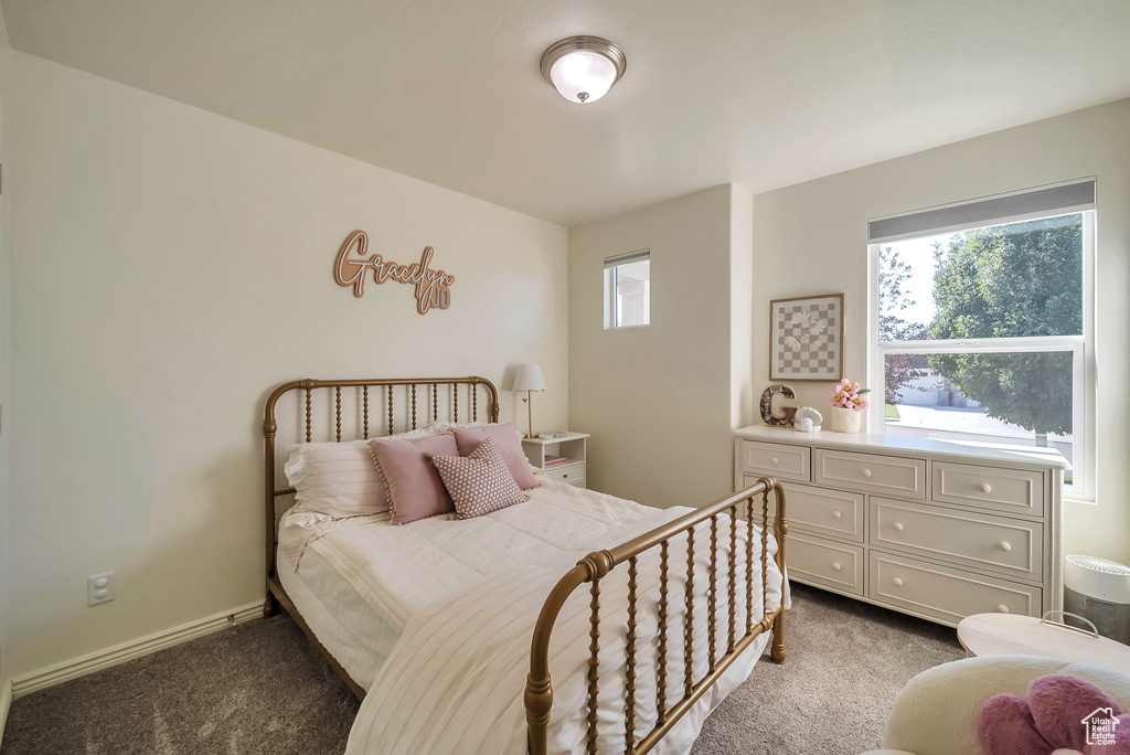 Photo 17 for MLS #2113627 at 1272 N Horizon View Loop