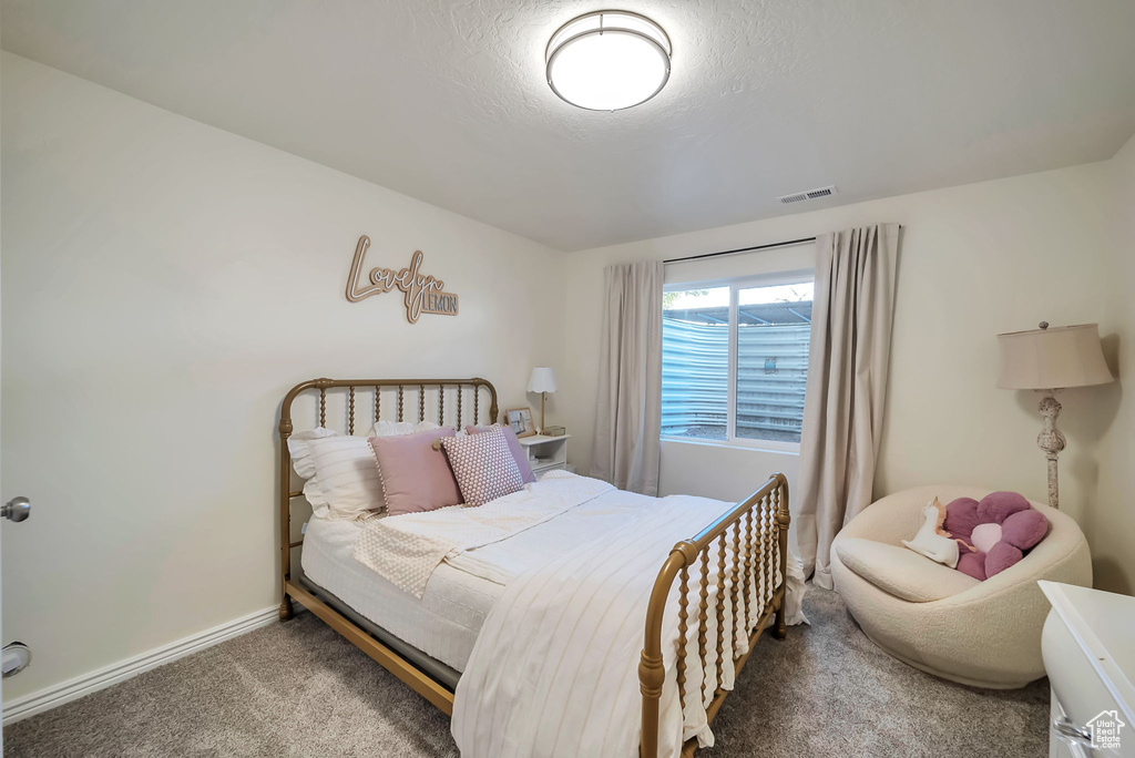 Photo 16 for MLS #2113627 at 1272 N Horizon View Loop