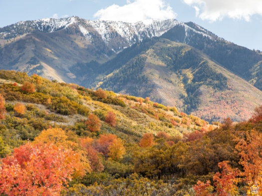 1270 S EAGLES NEST Woodland Hills, UT 84653