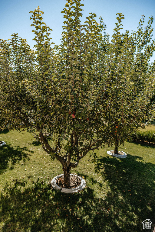 471 W PUMPKIN PATCH DR Saratoga Springs, UT 84045